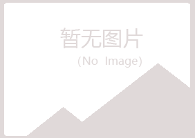 文山冰夏化学有限公司